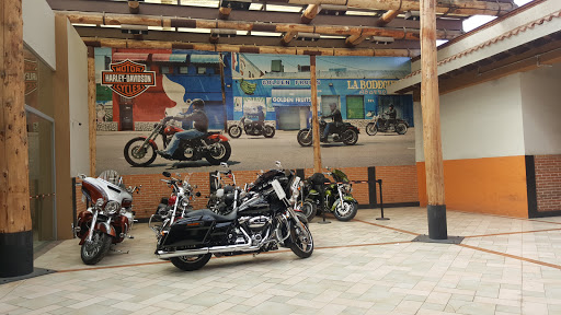 Cuernavaca Harley-Davidson, Autopista Mexico-Acapulco km. 85.5, Col. Antonio Barona, 62320 Cuernavaca, Mor., México, Concesionario de motos | MOR