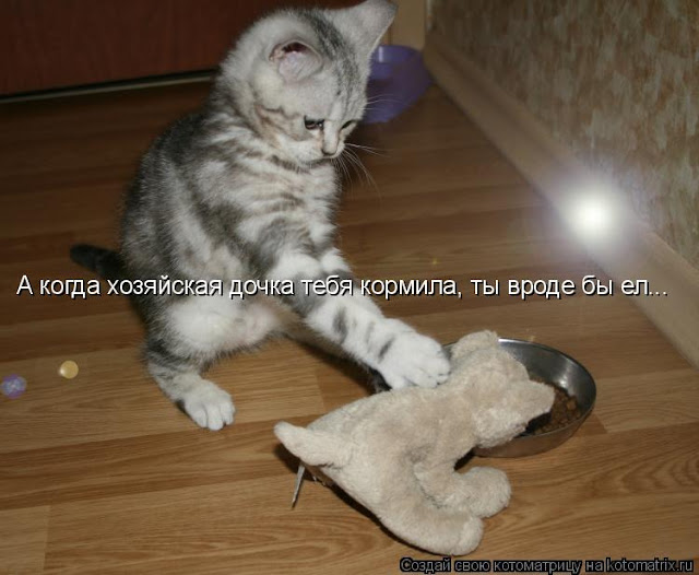 Ни дня без улыбки. Бывает, что крест, поставленный на человеке это его единственный плюс Ни дня без улыбки. Бывает, что крест, поставленный на человеке это его единственный плюс