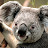 steve p avatar image