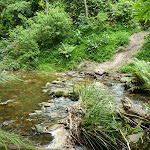 Crossing Ourimbah Creek west of Stringy Bark Point (368860)