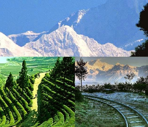 Darjeeling Tour Packages, My Happy Journey, Hill Cart Road, Near Sonar Bangla Hotel, Darjeeling, West Bengal 734101, India, Travel_Agents, state WB