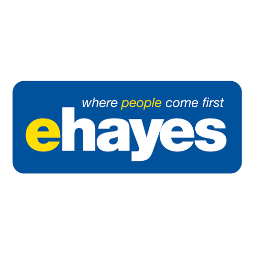 E. Hayes & Sons logo