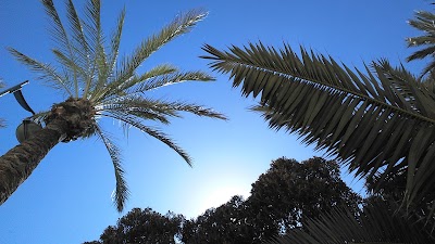 Photos of Parque Nicol&aacute;s Salmer&oacute;n