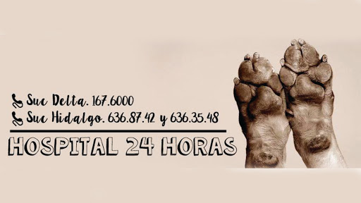 Clinica Veterinaria Robin HAUS Emergencias 24 hrs, Blvrd Miguel Hidalgo 2017, San Jeronimo II, 37148 León, Gto., México, Cuidado de mascotas | GTO