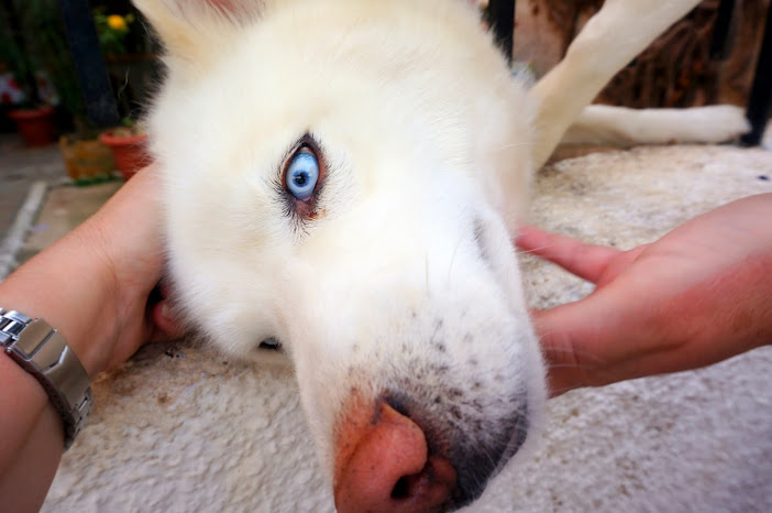 Автопутешественницы в круизе Norwegian Jade по греческим островам 24-31 мая 2014