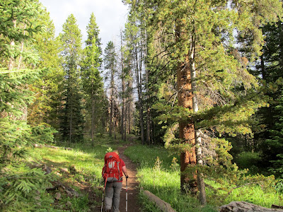 Starting up the trail