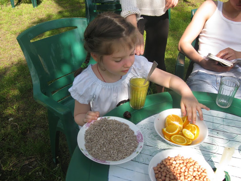 Семинар по основам ньяса-йоги и целительства в мае 2013г.1134