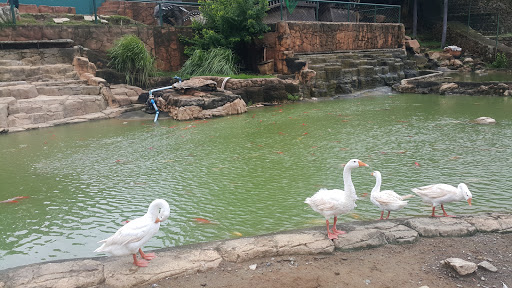 Baluarte
