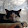 Maggie S Maggie S's profile photo