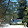 Denise Novak Denise Novak's profile photo