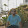 Adam Thahir Adam Thahir's profile photo