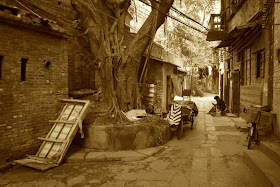 alley in Guangzhou, China, with a large tree and several bikes