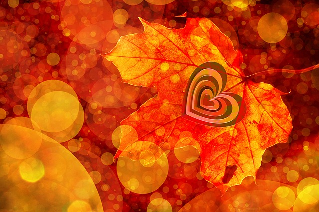 ảnh trái tim mùa thu trong chiếc lá đẹp