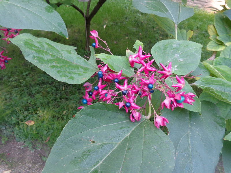 Круиз на Queen Elizabeth, 12-24 октября 2012