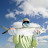 Steve Collins avatar image