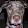 R. Daniel Riley R. Daniel Riley's profile photo