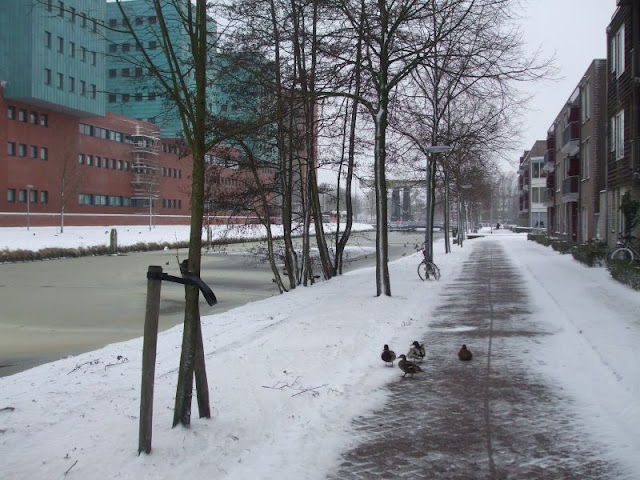 marwixkade in de winter