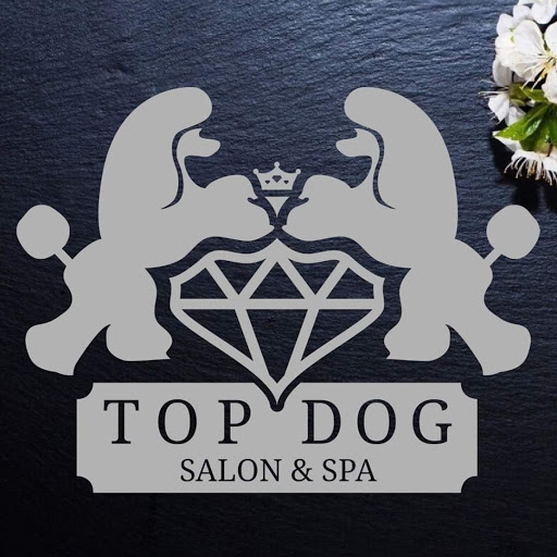 Top Dog Salon & Spa Hull