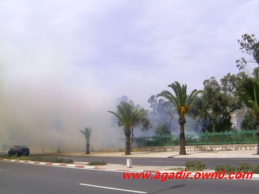 حريق مهول بأحد المساحات الخضراء بأكادير Fff