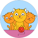 Image Google de Stephanie Campos