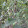 Rosemary Phang Rosemary Phang's profile photo