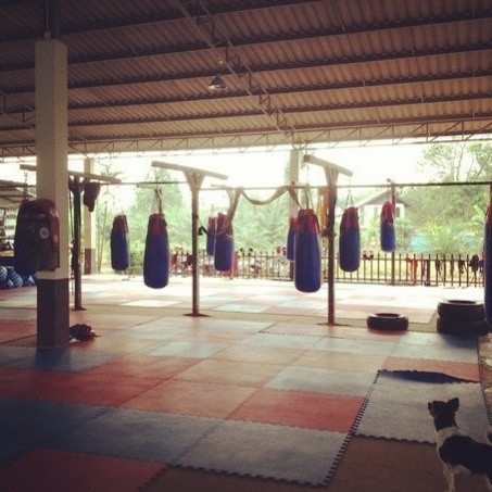 Sinbi Muay Thai Training Camp - Phuket