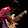 Salvatore Laisa Salvatore Laisa's profile photo