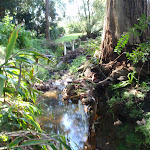 Moores Creek near end of Amarna Pde (135913)
