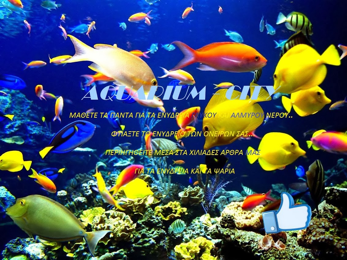 Aquarium-City