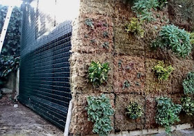 Jardín vertical de Sphagnum