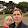 Eric Talevich Eric Talevich's profile photo