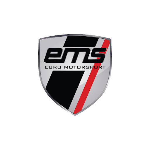 Euro Motorsport EMS logo