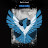 Matt Tarin avatar image