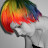 Amelia Perry avatar image