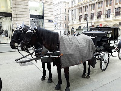 Photos of Julius Meinl am Graben