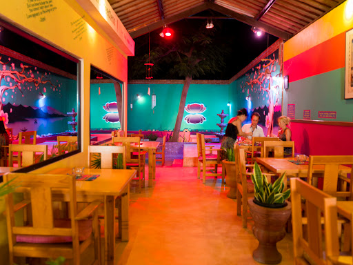 Rumi Garden, Santos Degollado Ave 128, Centro, 23300 Todos Santos, B.C.S., México, Restaurante de comida para llevar | La Paz