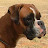 Thomas Jones avatar image