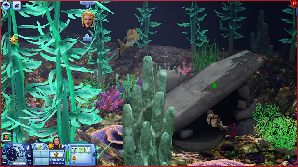 Dive Dive
