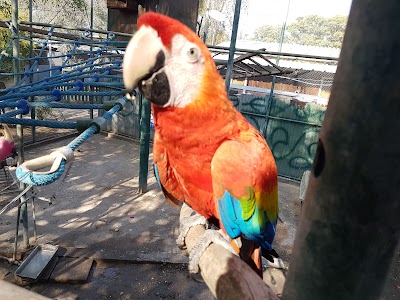 Photos of Jungle Fun