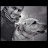 Rohit Bebarta avatar image
