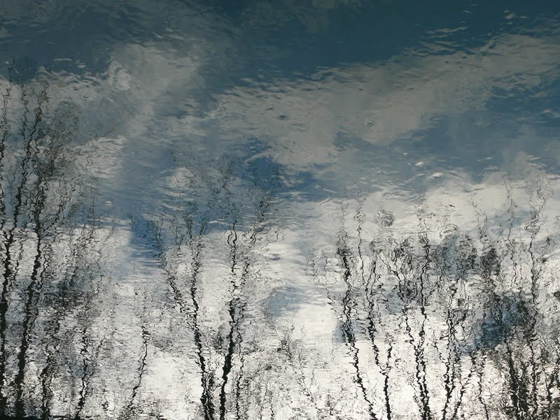 Взгляд сквозь лужу: отражения мира в фотографиях