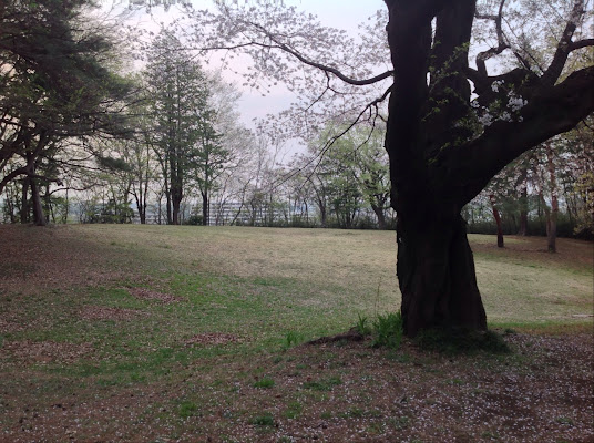 Kenei Sayamainariyama Park