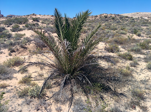 Playa El Altet Alicante