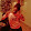 Lele Lakisha Lele Lakisha's profile photo