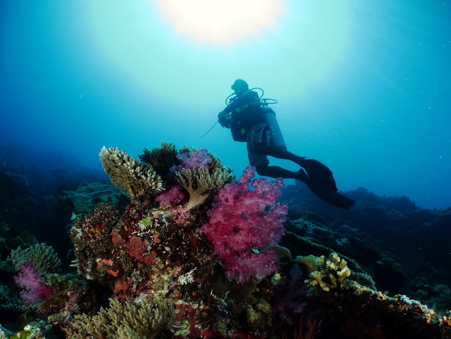 111104%252520Palau184.JPG