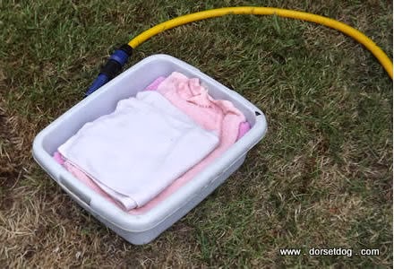 Place a bowl of wet towels on the ground for people to cool their dogs down