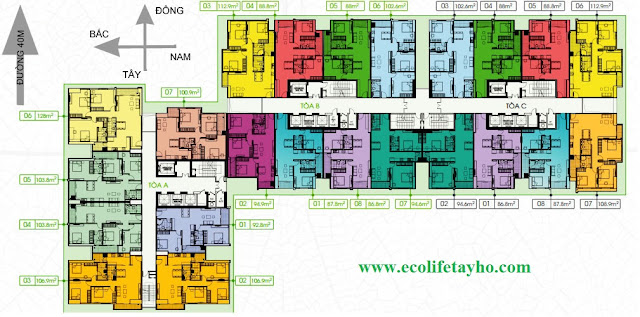 Mặt Bằng Dự Án Ecolife Tây Hồ Mặt Bằng Dự Án Ecolife Tây Hồ