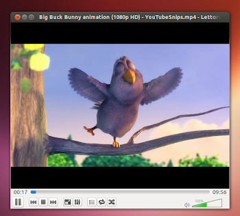 VLC 2.0.7 su Ubuntu 13.04 Raring