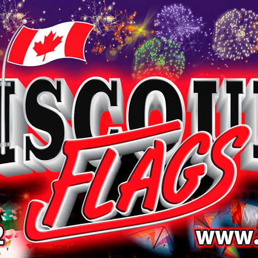 DISCOUNT FLAGS & FLAGPOLES & SIGN'S SHOP / BANNER'S AND FIREWORKS STORE LTD. logo