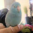 Jack DeLise avatar image